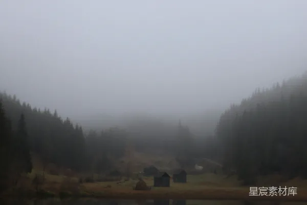 高清摄影 环绕着树木和雾的水域