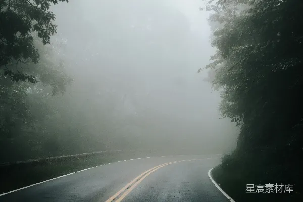 高清摄影 灰暗的混凝土路旁绿树间在雾天中