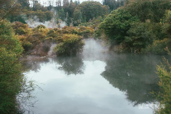 高清摄影 一片被树木和灌木环绕的水域