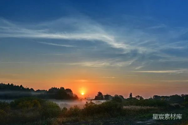 高清摄影 夕阳下的绿草.fields