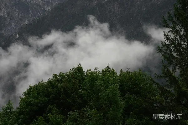 高清摄影 迷雾在一片暗色的森林山景中飘动。