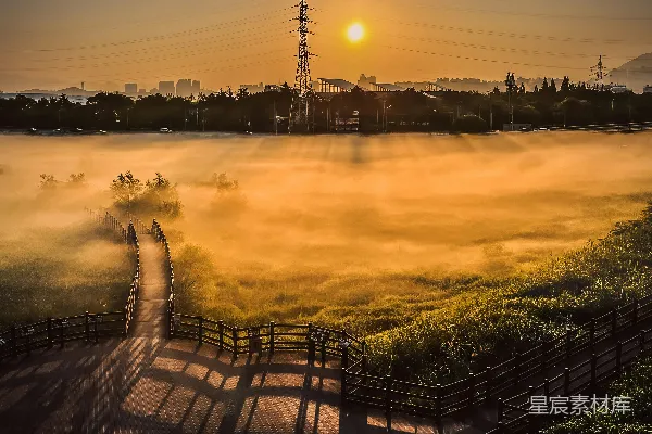高清摄影 一片雾气弥漫的空地，通往电力线的一条木制小径。