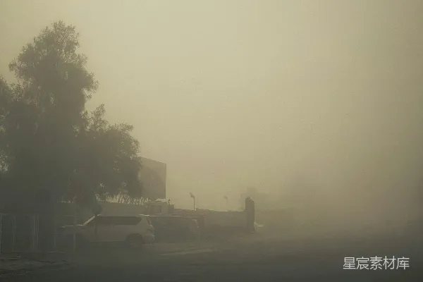 高清摄影 一幅黑白照片里的雾蒙蒙街道