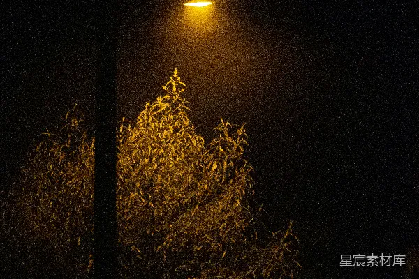 高清摄影 昏暗中一盏街灯 shining brightly