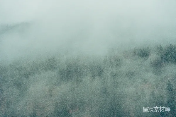 高清摄影 一座被雾笼罩的山峦，前景为树木。