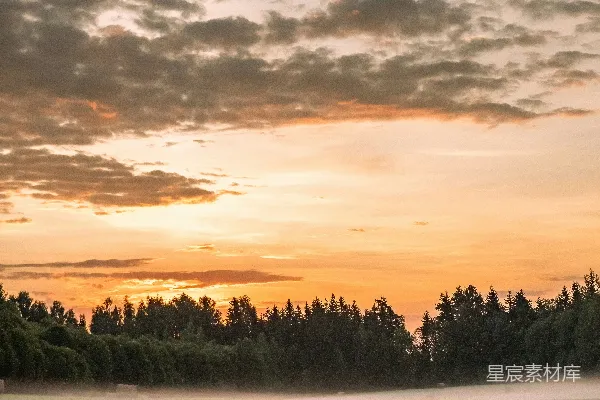 高清摄影 夕阳下的田野，地面弥漫着雾气。