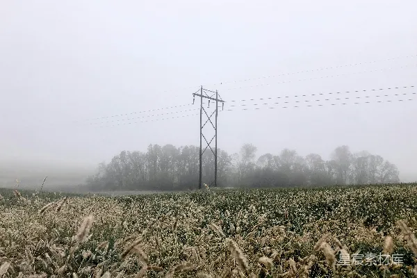 高清摄影 白天下白地上绿草 fields under青天