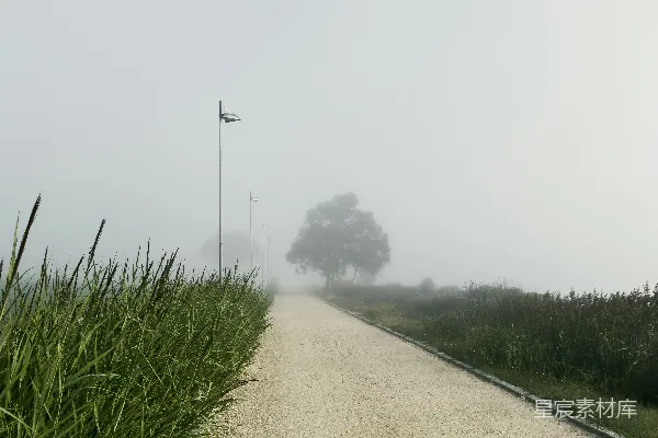 高清摄影 田间一条雾气缭绕的小路
