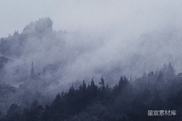 高清摄影 远处山间有雾，近处树木葱郁。