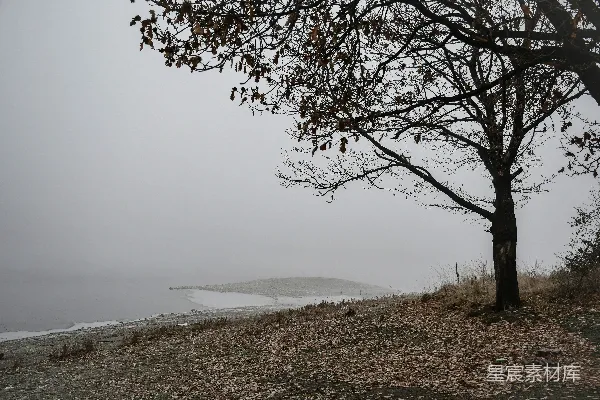 高清摄影 山丘上一棵树，背景中有水面。