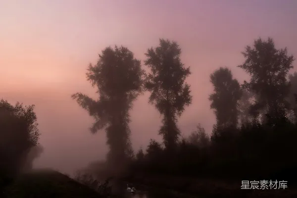 高清摄影 一幅烟雾笼罩的风景，有树木和小溪。