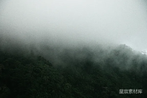 高清摄影 一架飞机在被浓雾覆盖的山头上方飞行。
