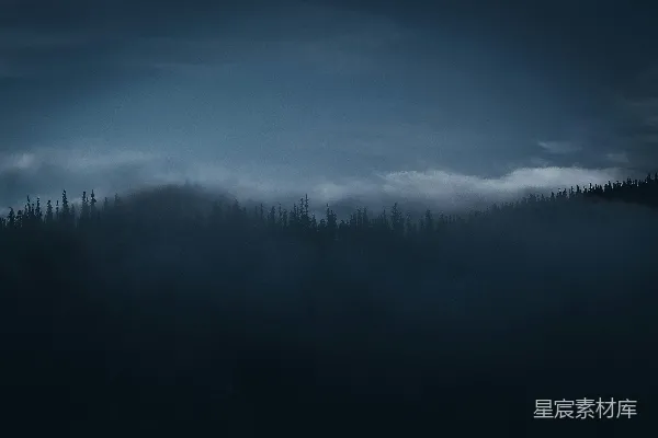 高清摄影 夜幕下树木的轮廓