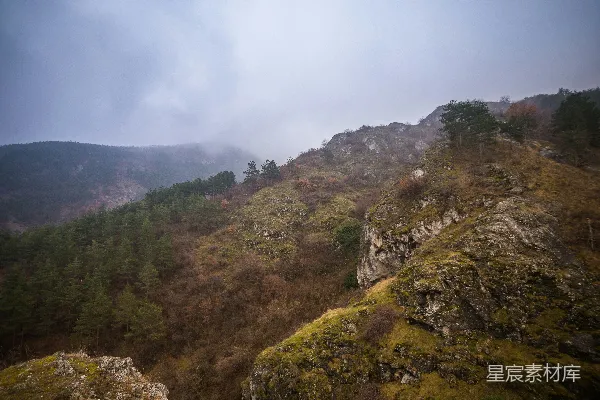 高清摄影 山间一片树木与雾的景象