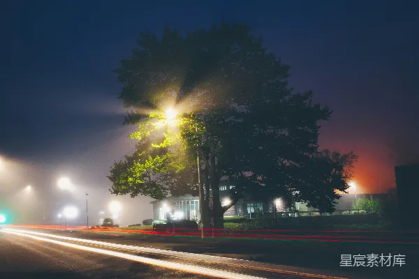 高清摄影 夜晚的城市街道，有路灯和一棵树。