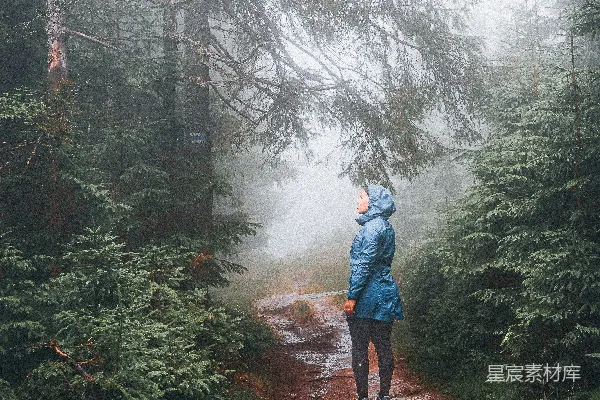 高清摄影 一个人站在森林小径上