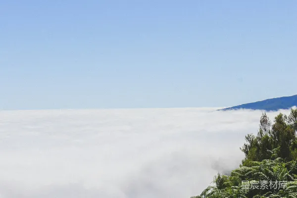 高清摄影 一个男人站在一片翠绿山坡的顶端
