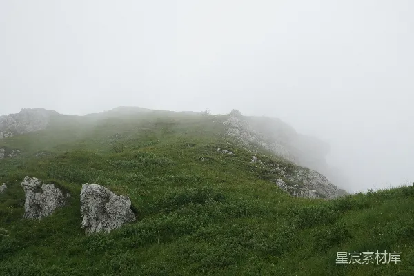 高清摄影 一道覆盖着草和石头的山坡在雾天里