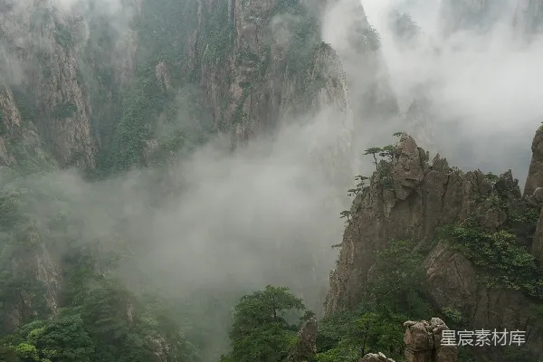 高清摄影 岩石形成的近处有一棵树