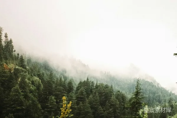 高清摄影 山林雾气缭绕的蒙蒙山。