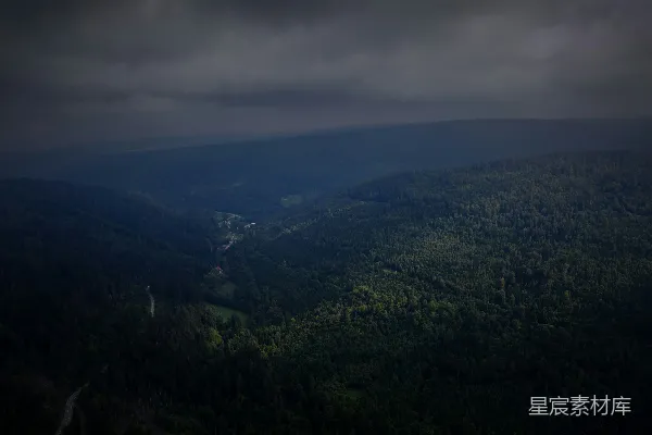 高清摄影 远处有一片树木和水面的风景。