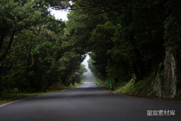 高清摄影 灰色的混凝土道路和绿色的树木