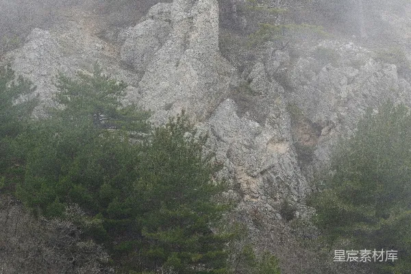 高清摄影 山间白天绿树