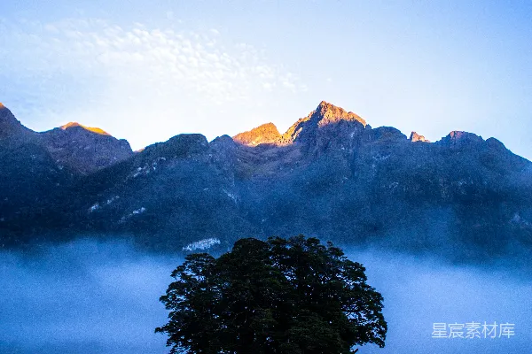 高清摄影 田野中的一棵树，背景是山峦。