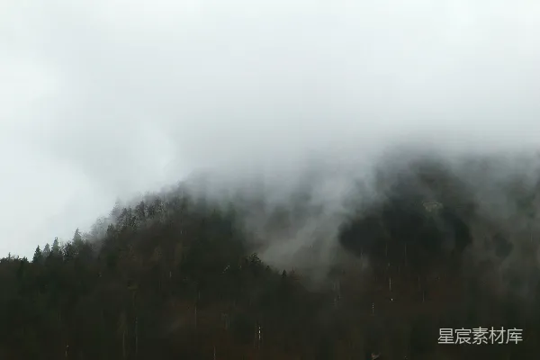 高清摄影 山间缭绕着的薄雾，背景是树木。