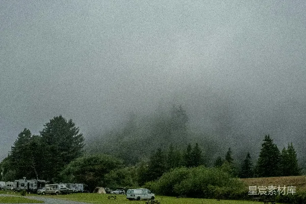 高清摄影 一棵树和一条路的田地