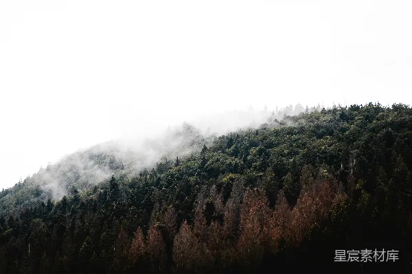 高清摄影 绿树覆盖的山峦