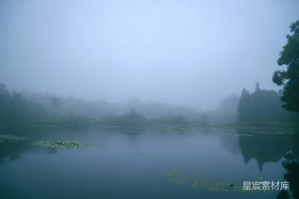 高清摄影 被树木环绕并弥漫着雾气的水域