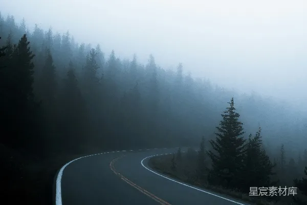 高清摄影 路边有树的道路