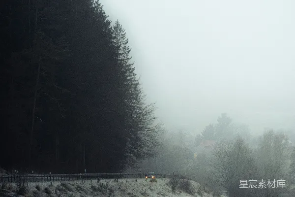 高清摄影 背景中有树木的雪覆盖田野