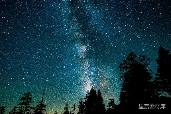 高清摄影 夜幕下树木的轮廓照