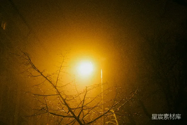 高清摄影 雾夜里的街灯