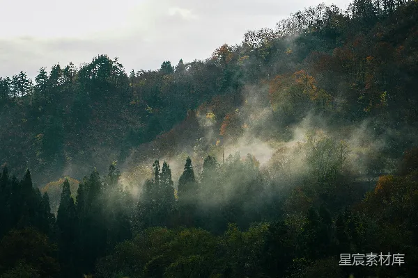 高清摄影 山中绿树映衬着白云的白天景色