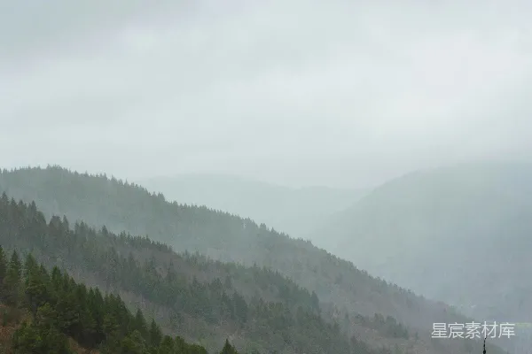 高清摄影 山林