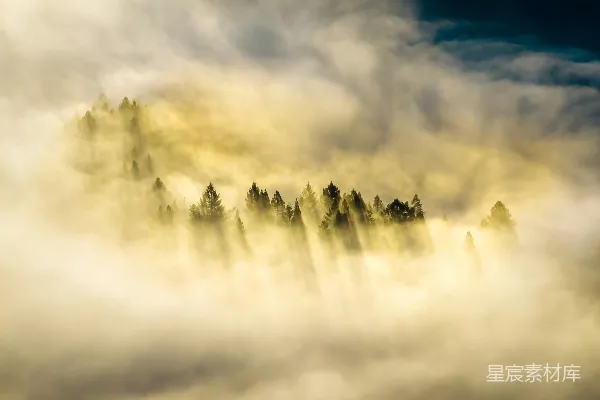 高清摄影 一座被雾气覆盖的山峦，前景中有树木。