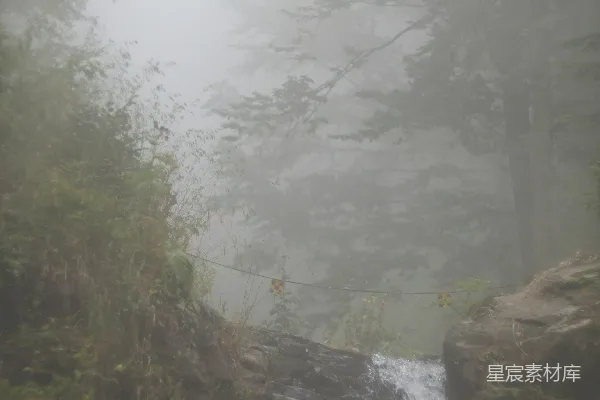 高清摄影 雾天中棕色岩石山上的绿树