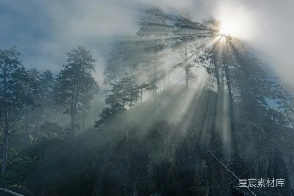 高清摄影 森林中的阳光穿透了雾气
