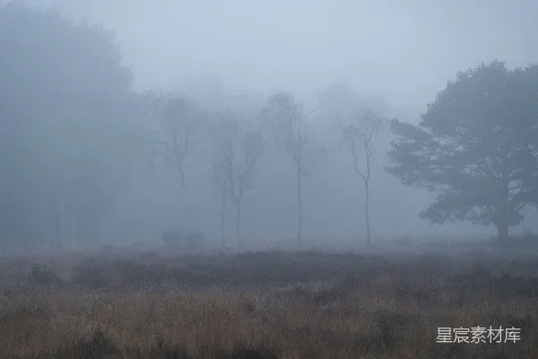 高清摄影 远处一片雾气笼罩的田野
