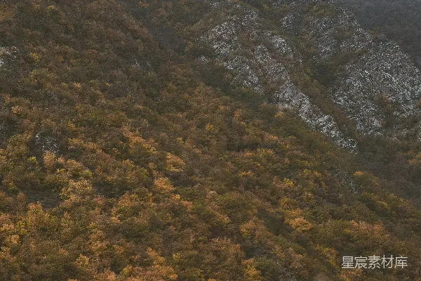 高清摄影 一架飞机飞过一片翠绿的山坡上方