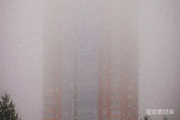 高清摄影 摩天大楼从雾中崛起，周围环绕着树木。
