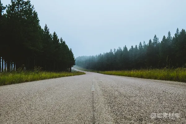 高清摄影 通往森林的道路