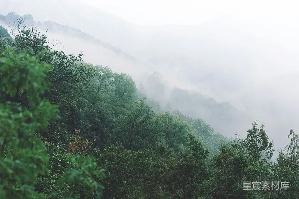 高清摄影 山间白天绿树