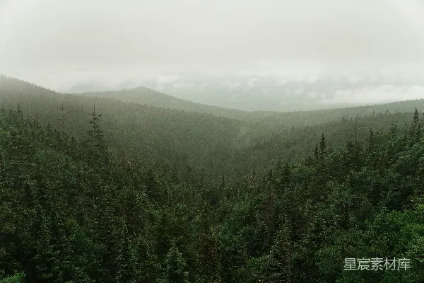 高清摄影 山中绿树映衬着白天的蓝天
