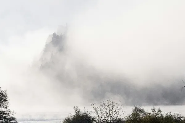 高清摄影 背景中有树木和一座小山的田野