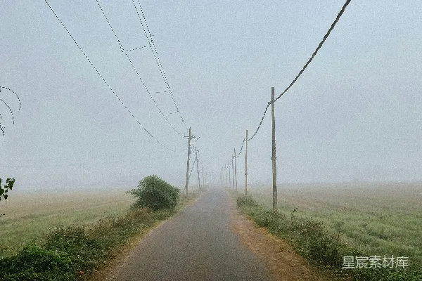 高清摄影 路边有电线的道路