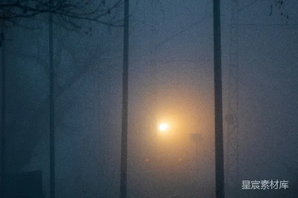 高清摄影 一个树影斑驳的雨夜